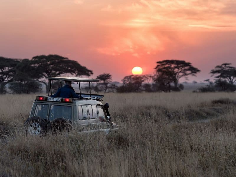 A safari vehicle in long grass under an orange sunset
